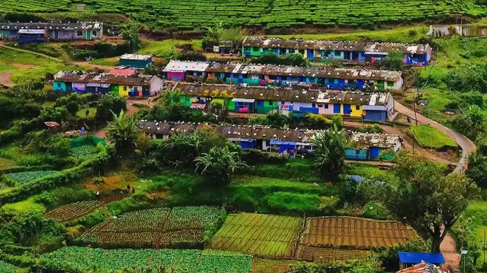 Yellapetty Munnar
